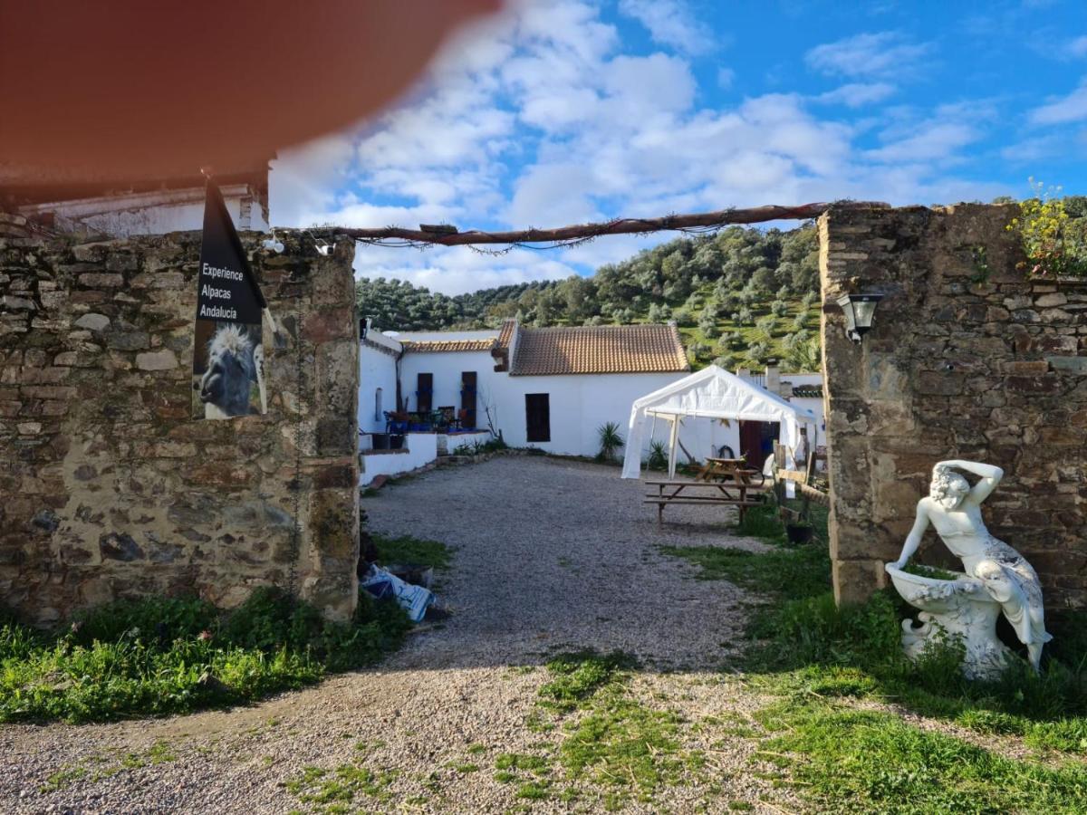 Experience Alpacas In Andalucia Leilighet Córdoba Eksteriør bilde