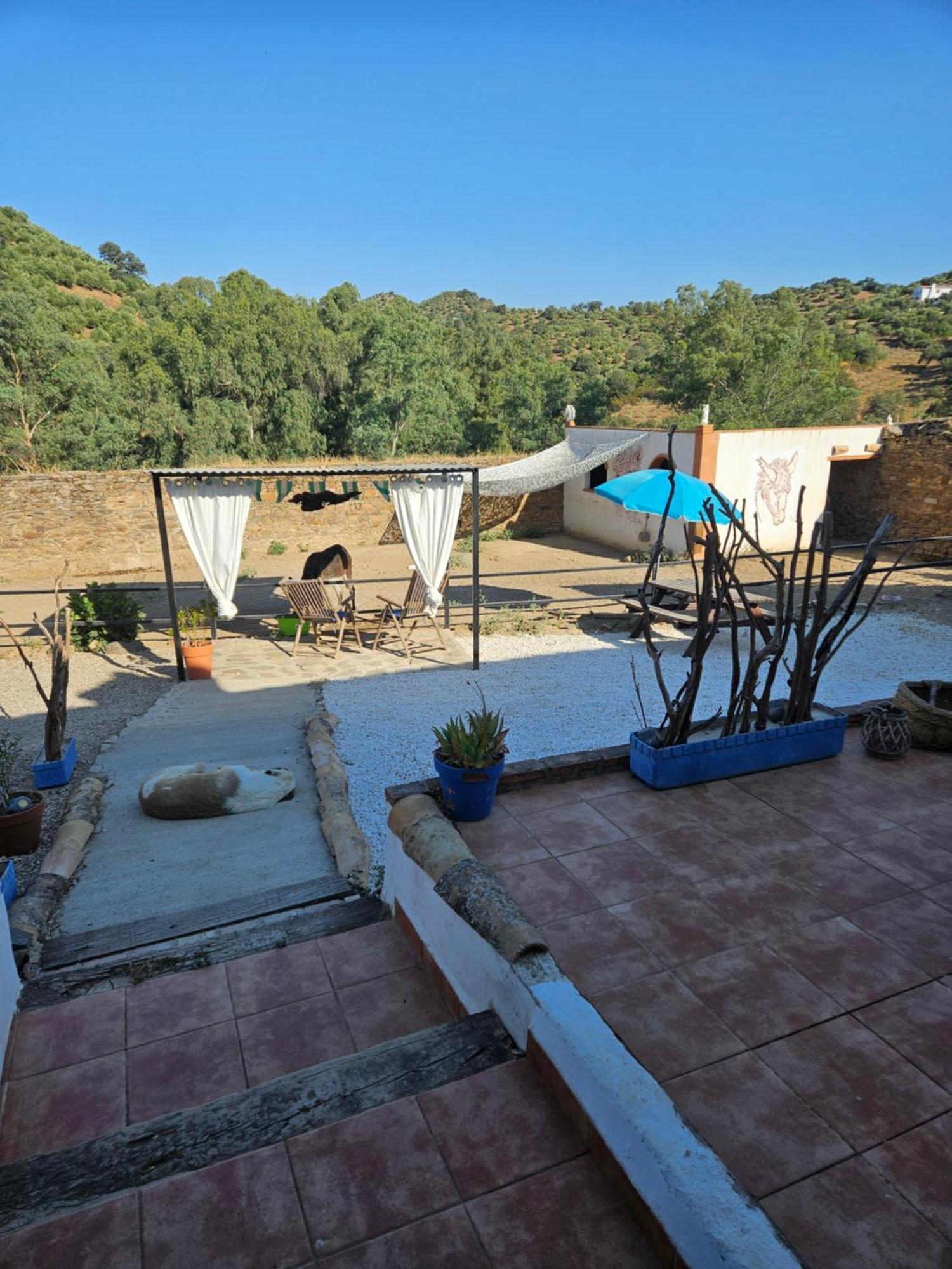 Experience Alpacas In Andalucia Leilighet Córdoba Eksteriør bilde
